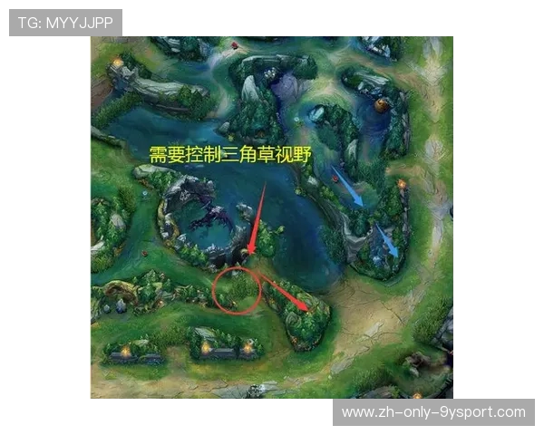 LoL团战后视野重建与推进训练——提升你在游戏中的掌控力！